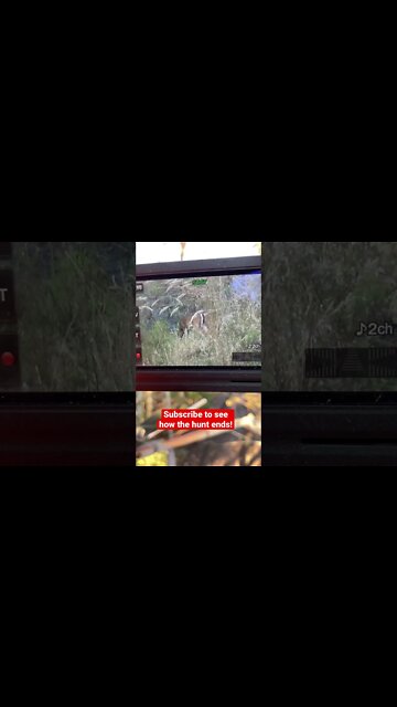 I love self-filming my hunts!