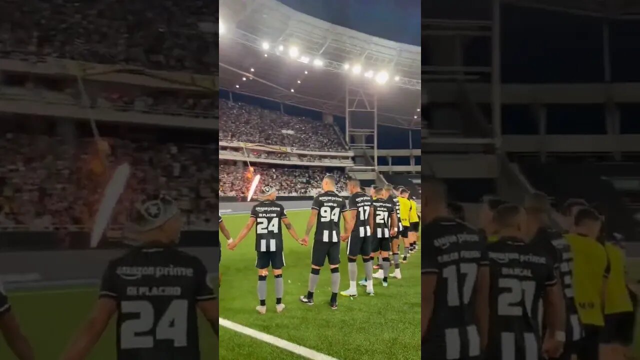 🚨RECADO DOS JOGADORES DO BOTAFOGO A SUA TORCIDA: JOGAMOS JUNTOS, VC E EU! 🔥 #botafogo #brasileirão
