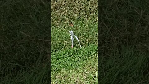 that joke is dead #shorts