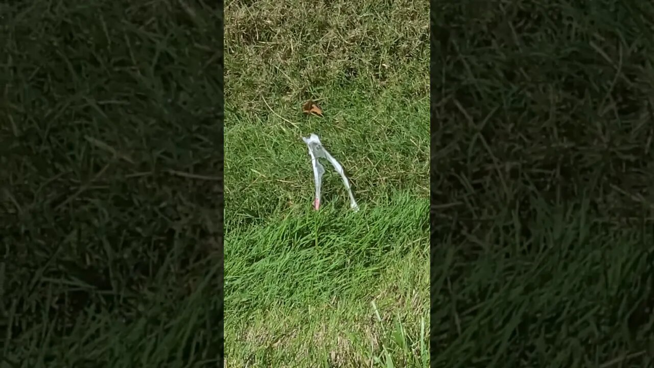 that joke is dead #shorts