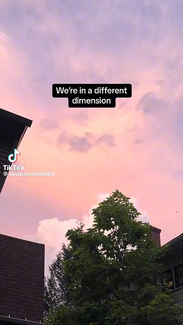 Did A Timeline Jump Save Trump?