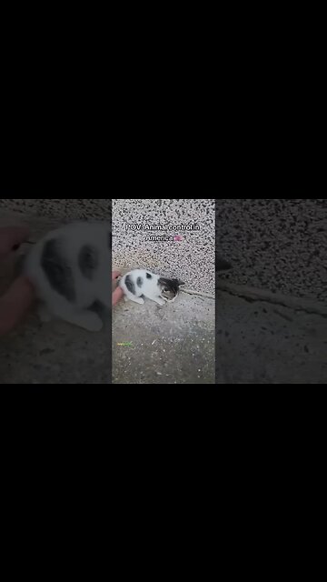 Bro was caught in action💀‼️ #funny #foryou #like #mrbeast #quotes #ishowspeed #viral #follow