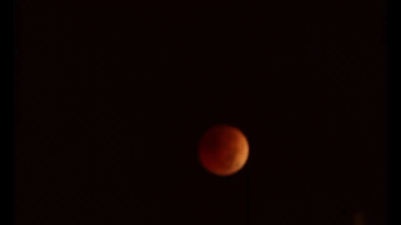 NOVEMBER 8 LUNAR ECLIPSE LIVE!