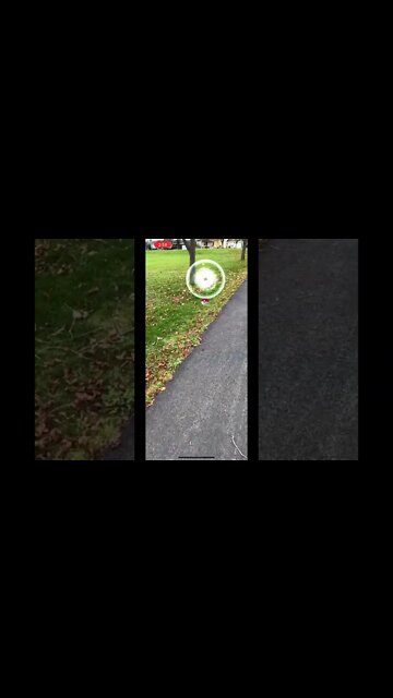Pokémon Go AR catching is fun