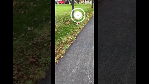 Pokémon Go AR catching is fun