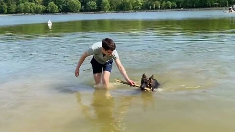 My Dogs Go On A Beach Trip