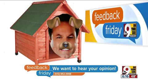 Feedback Friday: Steve in the doghouse