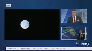 Lunar Eclips in Southwest Florida