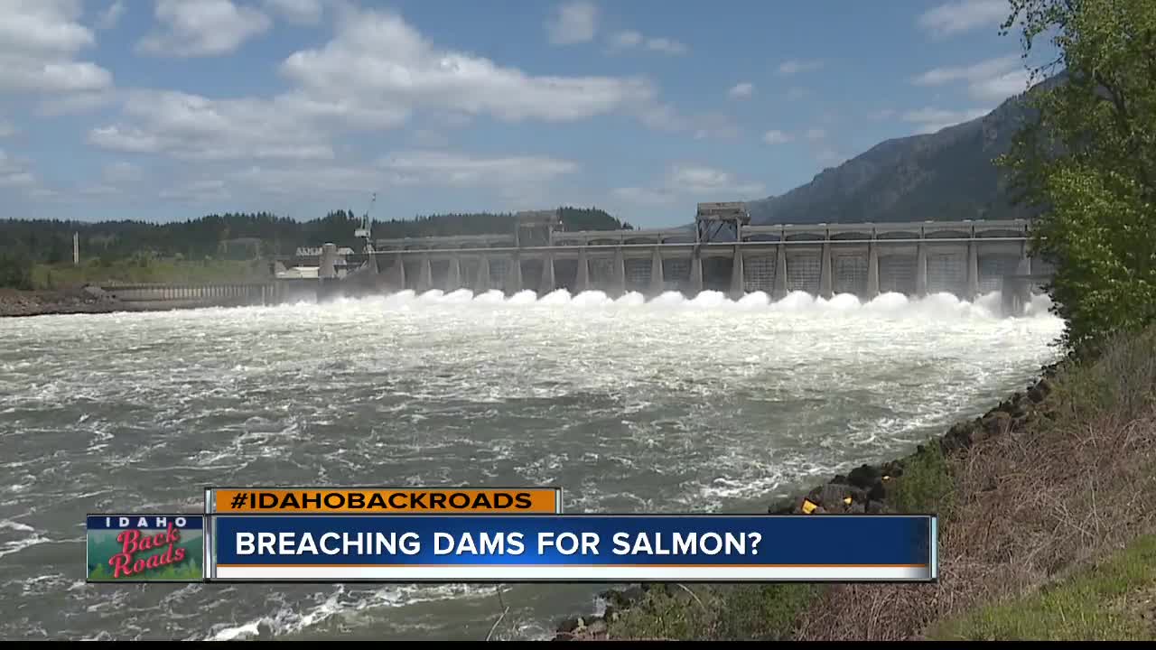 Breaching Dams for Salmon