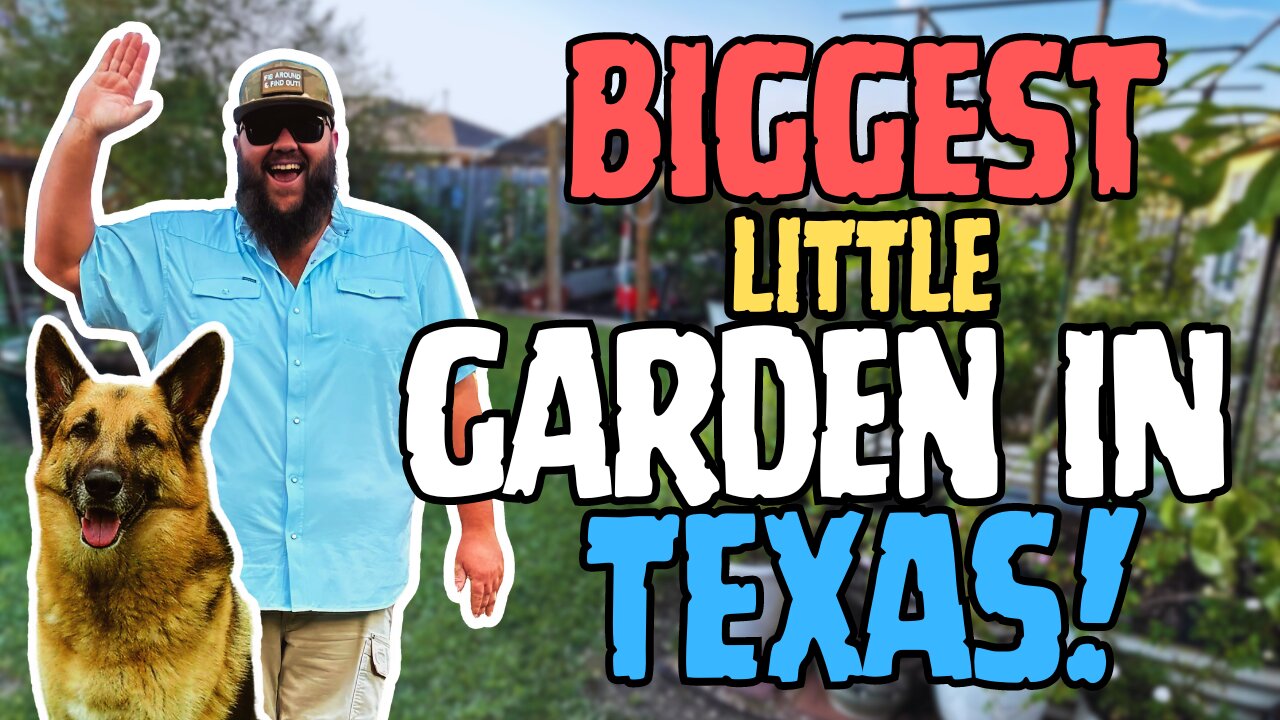 EXCLUSIVE Tour of My Backyard Garden PARADISE! | Growing HUNDREDS of Plants in a TINY Suburban Yard!