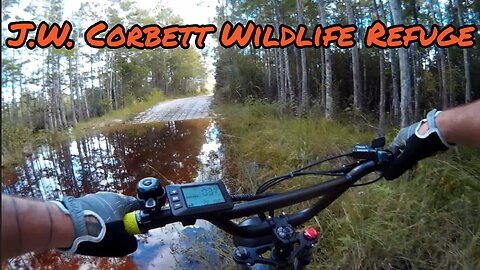 Freego F1 pro / JW Corbett trail hunt #everglades #ebike #emtb #mtb #fl #fla #explore #adventure