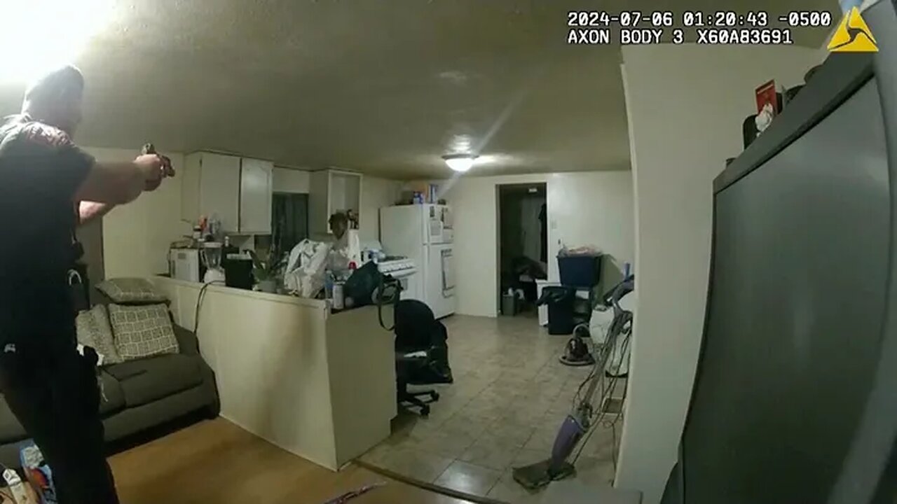 Review of the Sonya Massey Shooting