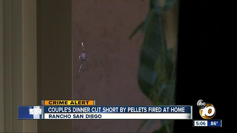 Couple's dinner cut short by pellets fired at home