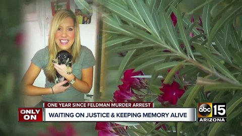 One year since Allison Feldman murder arrest