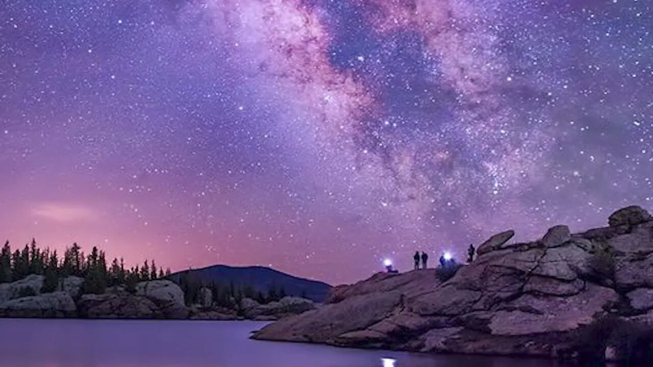 The Serenity of Forests