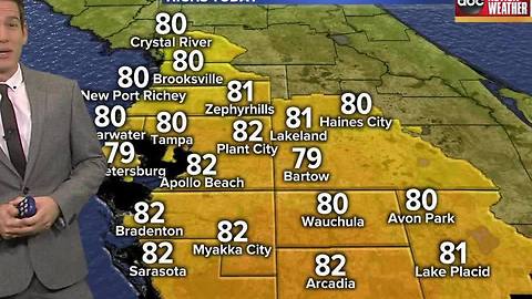 ABC ACTION WEATHER FORECAST