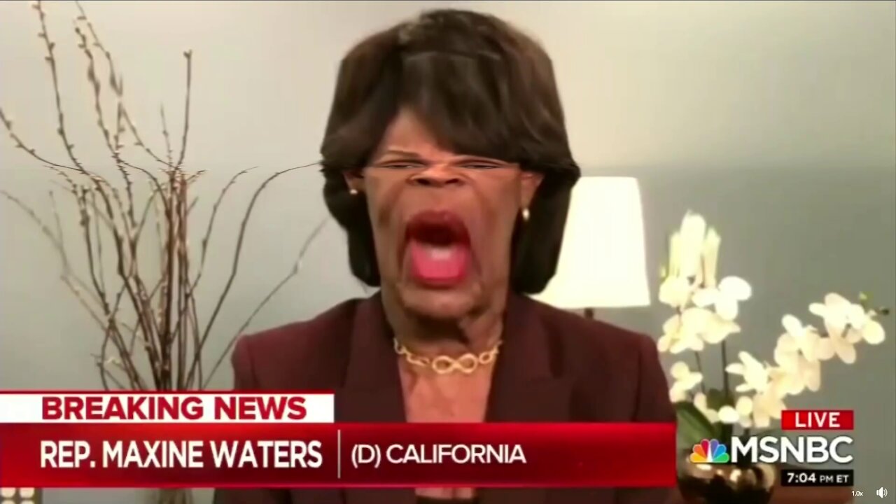 Maxine The Racist