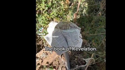 A BIBLE WAS FOUND OPEN TO REV 14 & 15 ON A POST AFTER THE FLOOD