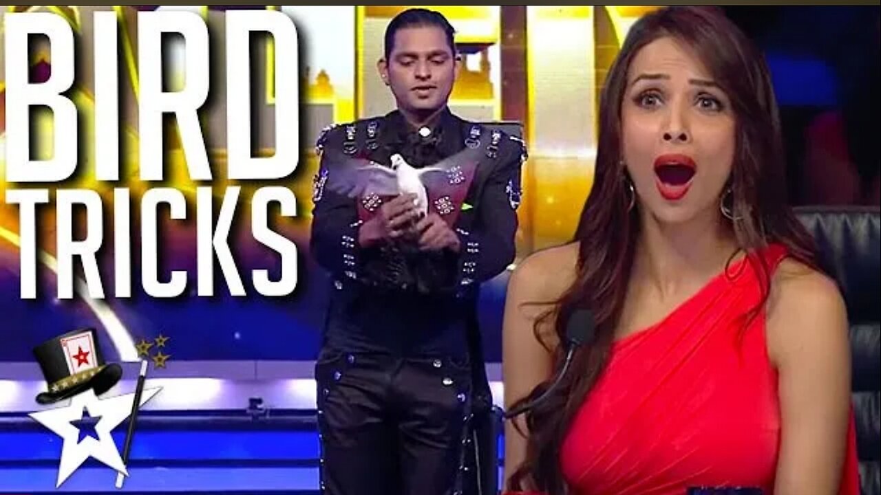 Magician Conjures BIRDS To The Stage on India's Got Talent | Magicians Got Talent