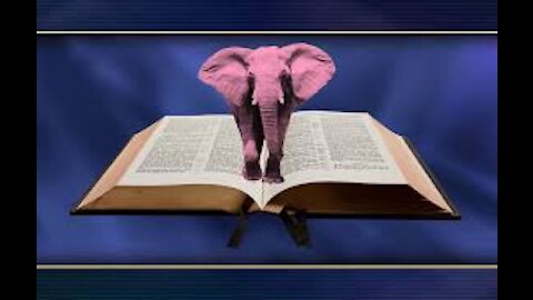 The Elephant In The Bible