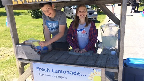 The most adorable entrepreneurs selling lemonade