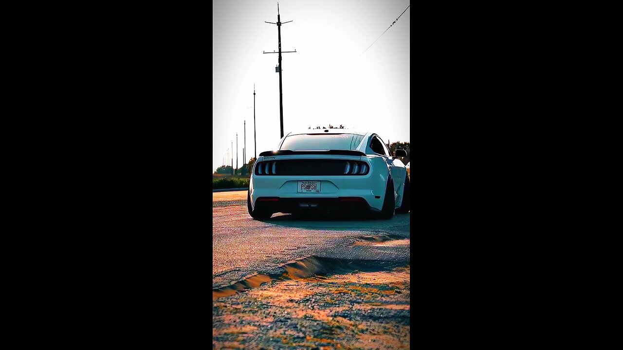 Mustang Car