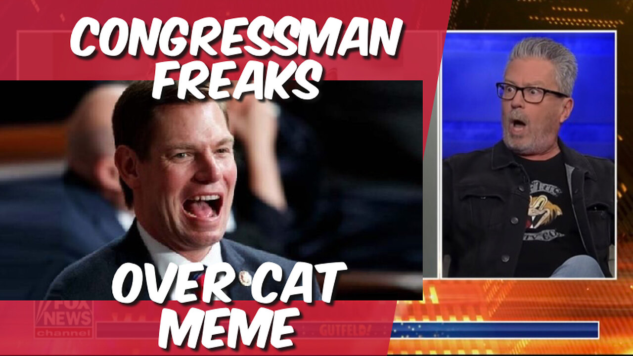 Congressman freaks out over cat meme