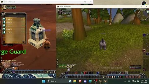 Session 5: World of Warcraft (MMORPG)
