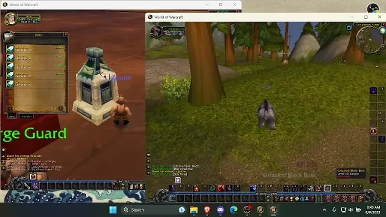 Session 5: World of Warcraft (MMORPG)
