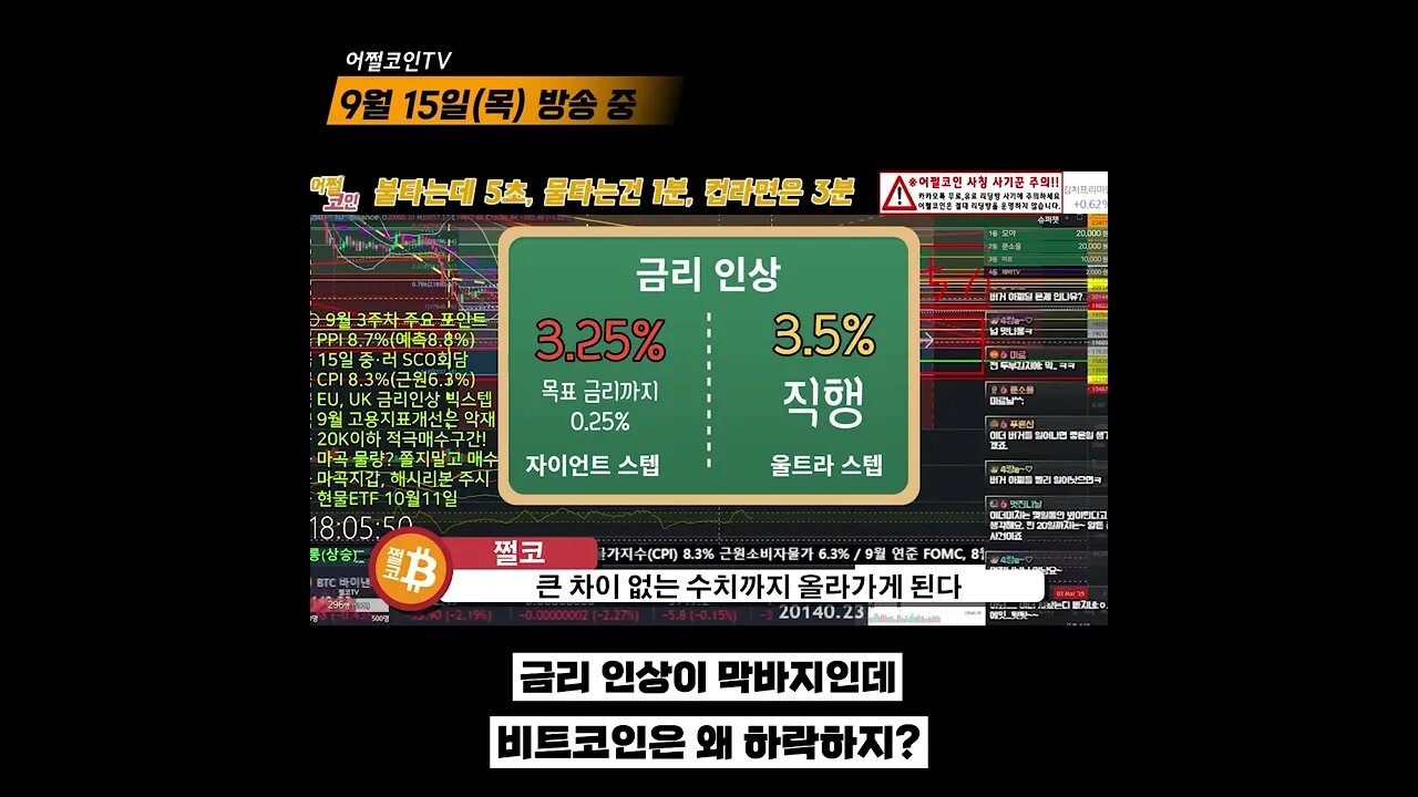 1~2번 남은 금리인상인데 왜 하락하나요? 추가 하락시 대응 포인트와 향후 전망은? | 비트코인 실시간 생방송 쩔코TV #쇼츠 #숏츠 #shorts