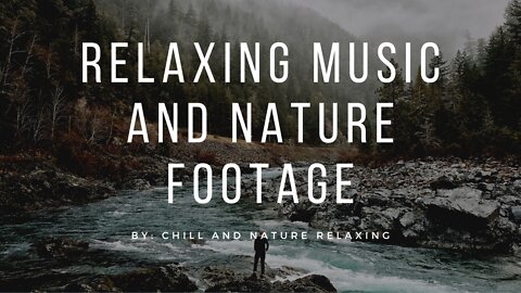 Beautiful Nature Relaxing Music - 432Hz For Quiet Mind