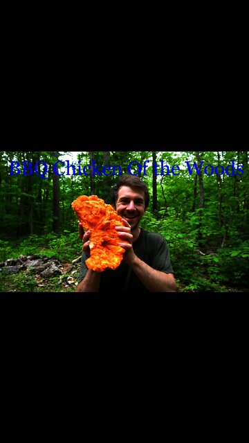 BBQ Chicken of the Woods Mushroom Pizza. Bushcraft cooking over a campfire Foraging and wild Edibles
