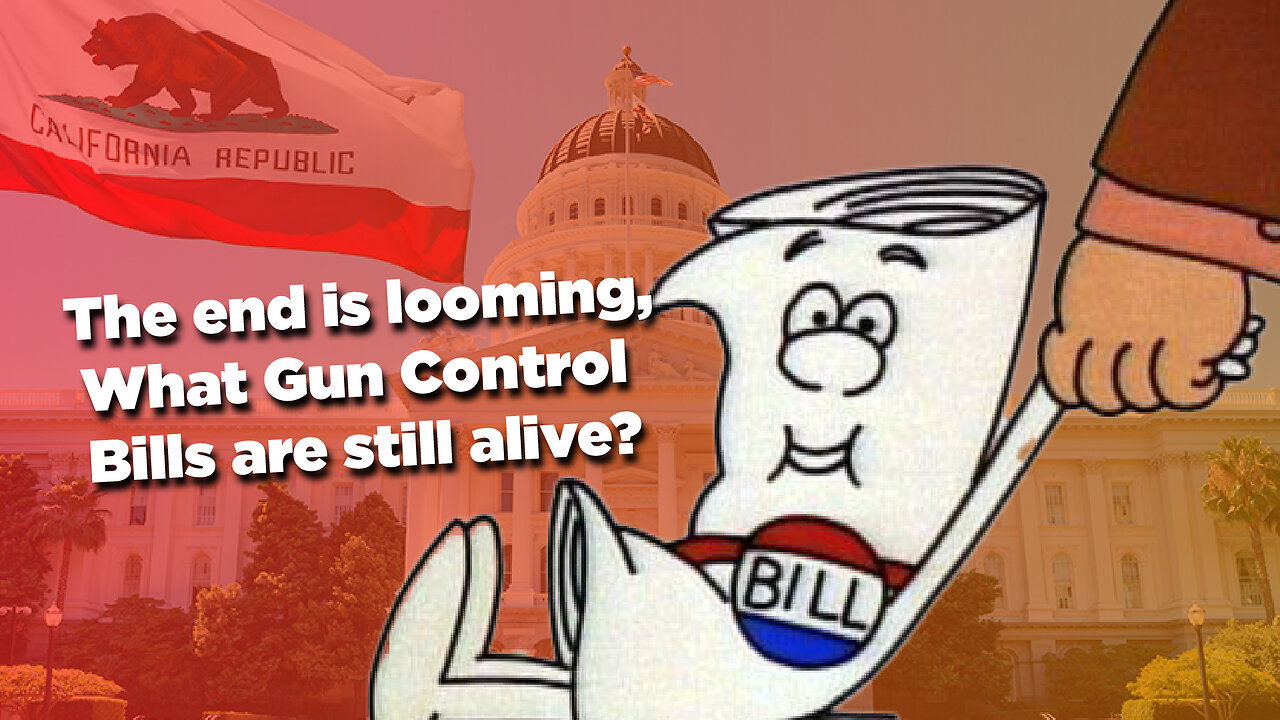 The end is looming, what gun control bills are still alive?