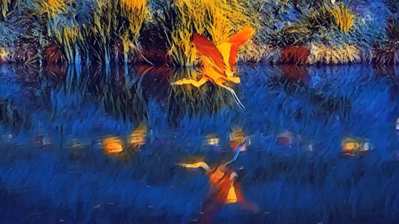 Redwoods Video To Paintings AI Birds