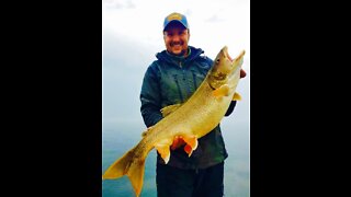 Best Bait and Tackle in Cold Lake