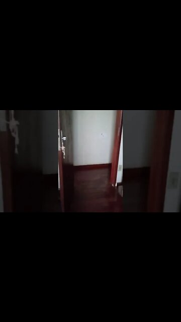 #dogshow , #animals , #dog , #shorts