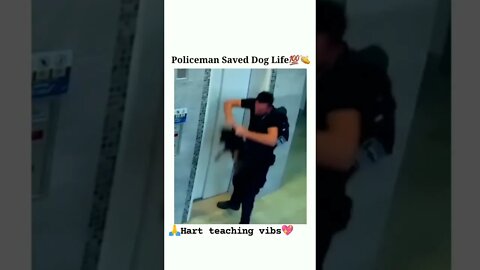 Police help for dog 🐶 #help #police #meme #respect #tiktok #dog