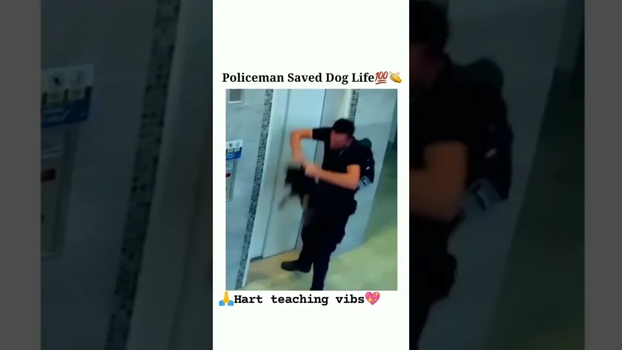 Police help for dog 🐶 #help #police #meme #respect #tiktok #dog