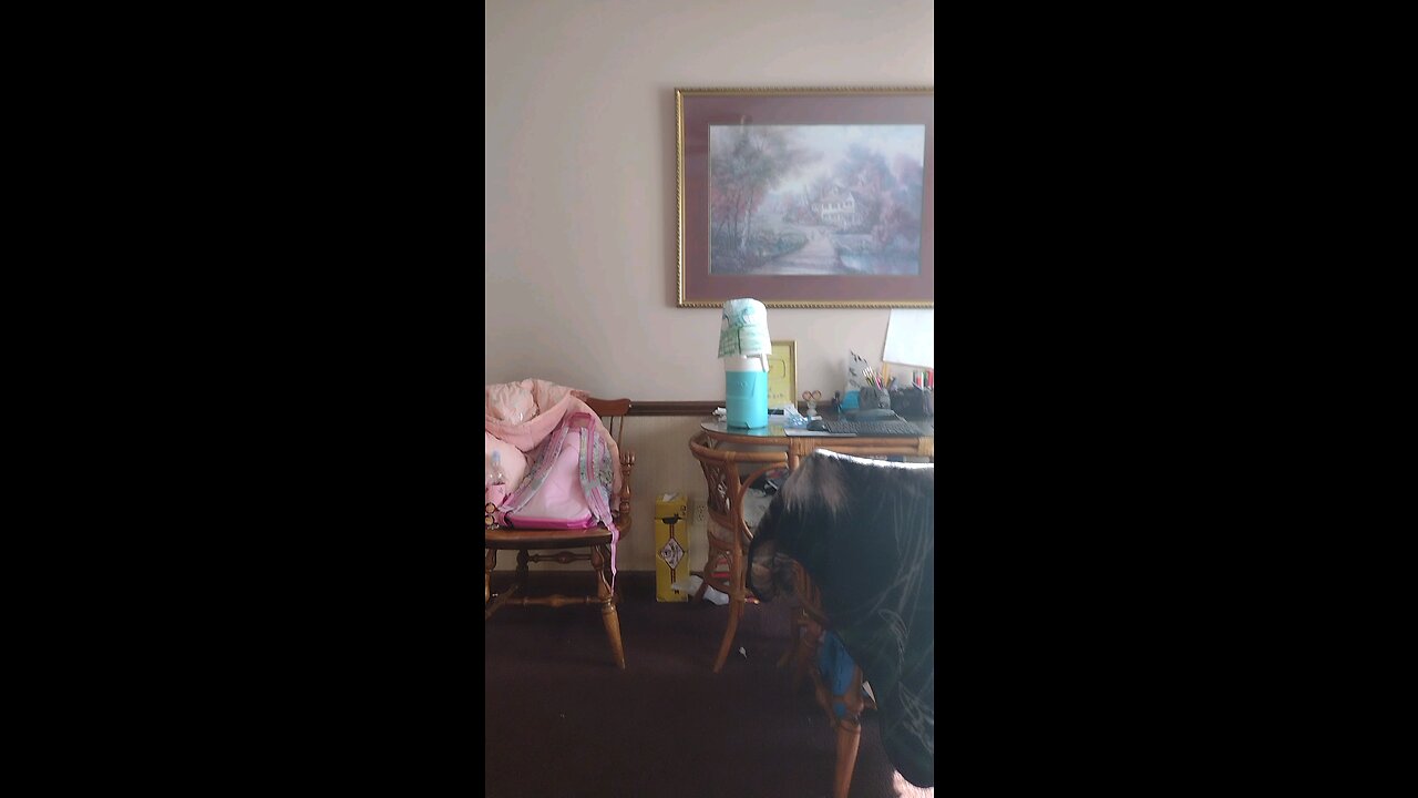 Guys, is this Freddy Fazbear? 🐻