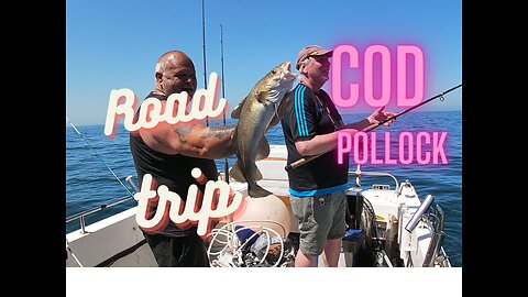 Road Trip to Milford Haven boat fishing for cod Pollock and more
