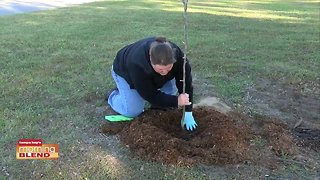 Rooted/Volcano Mulching | Morning Blend