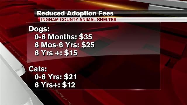 Ingham County Animal Shelter slashes adoption fees by 75% due to overcrowding