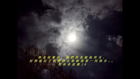 今天的每日聖經經文Jīntiān de měi rì shèngjīng jīng wén