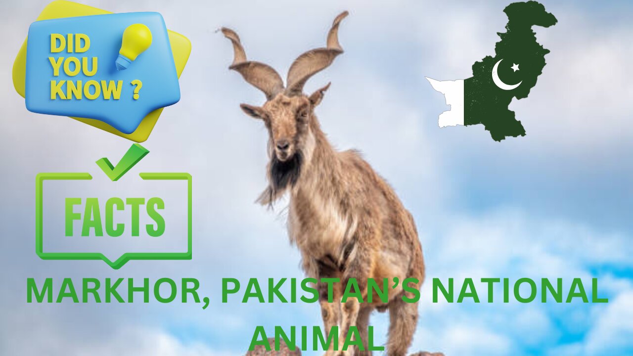 Interesting facts about Markhor