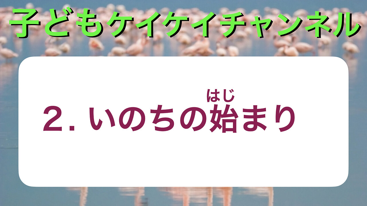 子どもKei Kei Channel 2 いのちの始まり