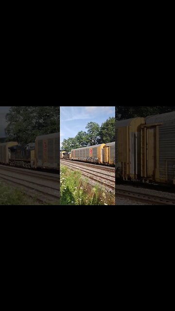 DPUwho. #train #youtube #youtubeshorts #shorts #short