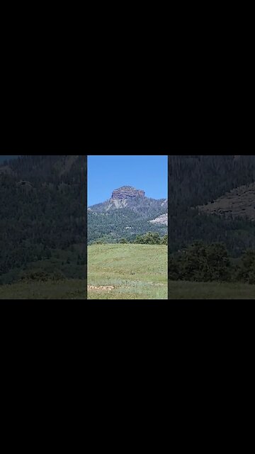 #Overpopulation #eatzebugs #shorts