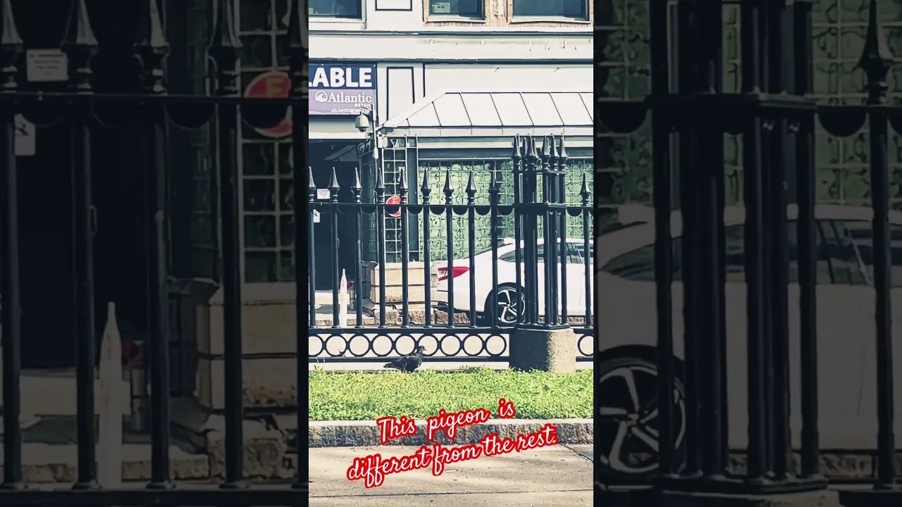 Lol. This is literally true. Wait until the end. #blackyoutube #makegoviral #short