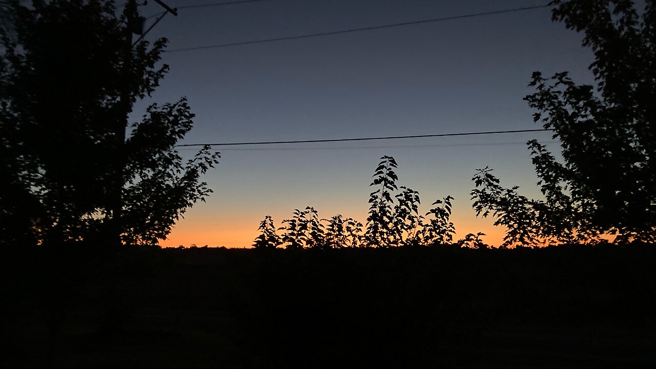 Friday Morning Free for All!