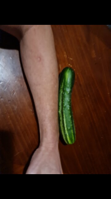 Hidden in the HANGING GARDEN!